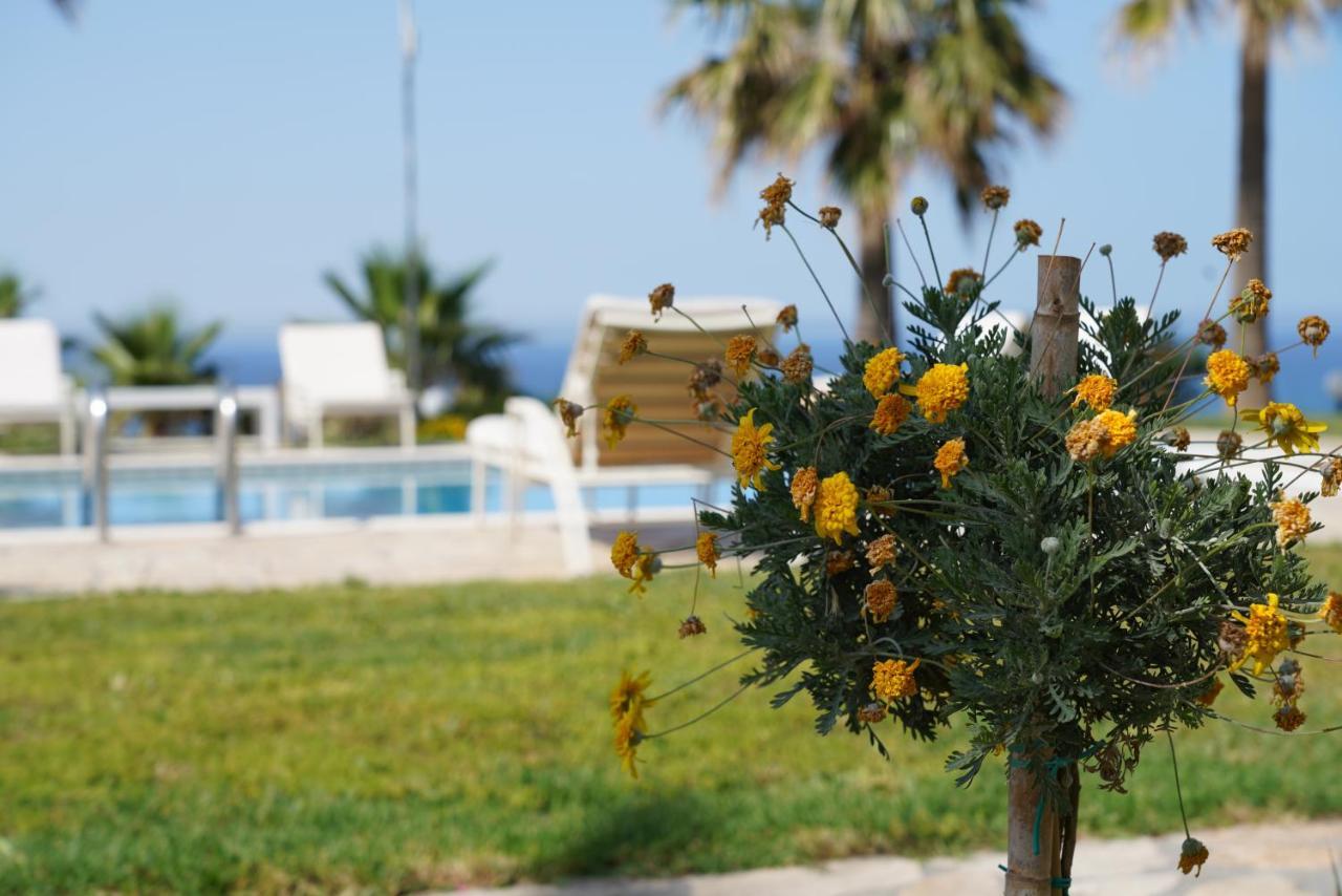 Aneria Suites Episkopi  Екстер'єр фото